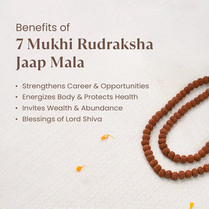 7 Mukhi Rudraksha Mala - 9-10mm , 108+1 beads
