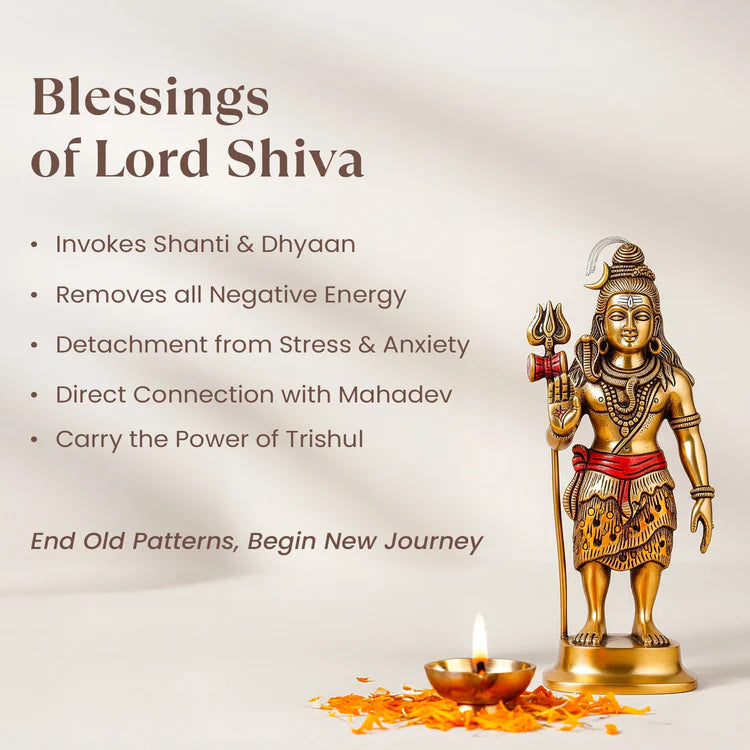 7 Mukhi Rudraksha Mala - 9-10mm , 108+1 beads