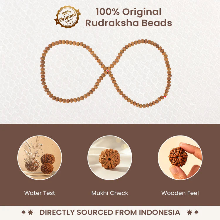 7 Mukhi Rudraksha Mala - 9-10mm , 108+1 beads