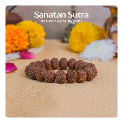 7 Mukhi Rudraksha Bracelet