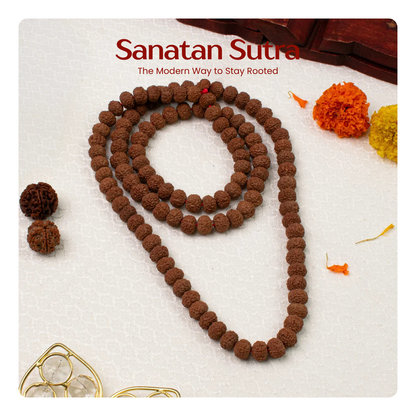 7 Mukhi Rudraksha Mala - 9-10mm , 108+1 beads